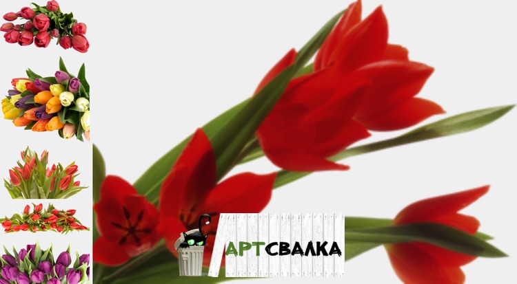 Тюльпаны клипарт  | Tulips clipart